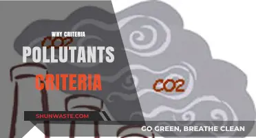 Understanding Criteria Pollutants: Why Their Standards Matter for Public Health