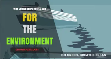 Cruise Ships' Environmental Impact: Pollution, Destruction, and Unsustainable Practices