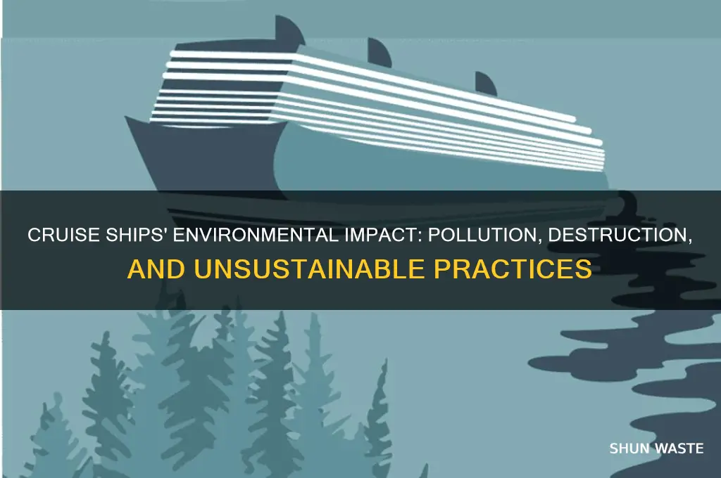 why cruise ships are so bad for the environment
