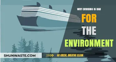 Cruising's Dark Side: Environmental Impact and Unsustainable Practices