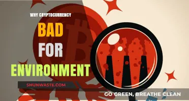 Cryptocurrency's Environmental Impact: Uncovering the Hidden Ecological Costs