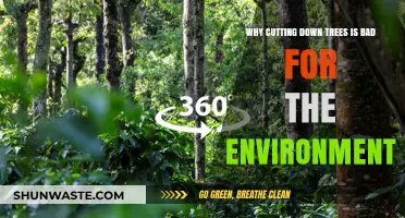 Deforestation's Devastating Impact: Why Cutting Trees Harms Our Planet