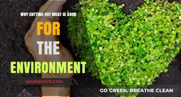 Sustainable Eating: How Reducing Meat Consumption Benefits Our Planet