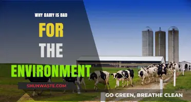 Dairy's Dark Side: Environmental Impact and Sustainable Alternatives