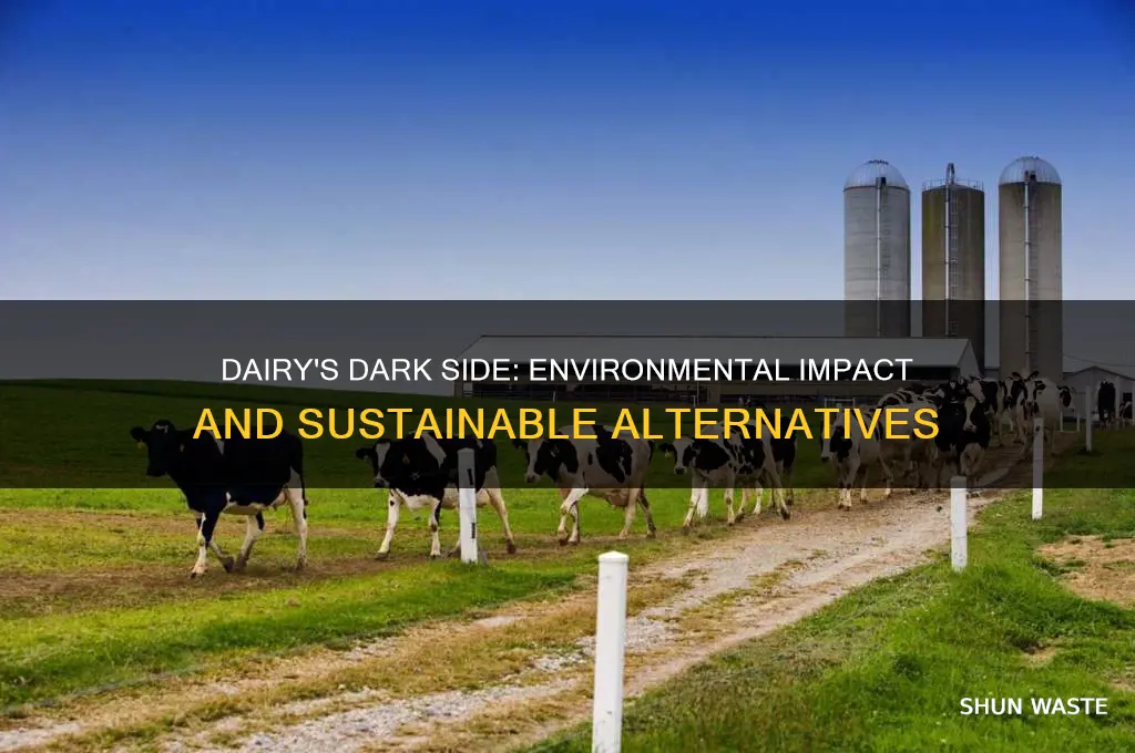 why dairy is bad for the environment
