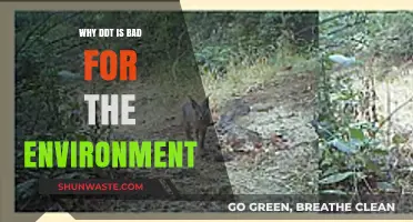 DDT's Environmental Impact: Harmful Effects on Ecosystems and Wildlife