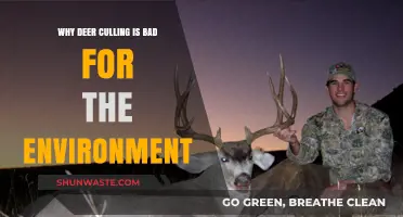 Deer Culling's Hidden Costs: Environmental Impacts and Ecosystem Disruption