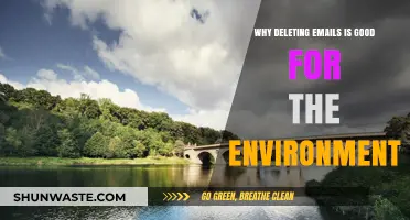 Eco-Friendly Inbox: How Deleting Emails Reduces Your Carbon Footprint