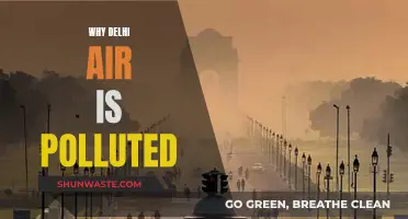 Delhi's Air Pollution: A Complex Crisis