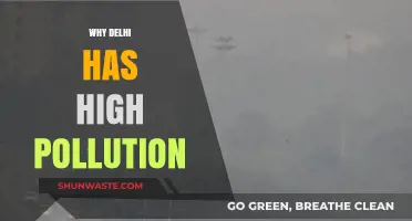 Delhi's Pollution Crisis: Causes, Impacts, and Urgent Solutions Needed