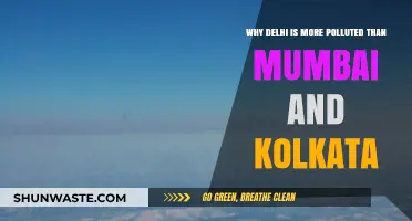 Delhi's Pollution Crisis: Unraveling the Smoggy Divide with Mumbai and Kolkata