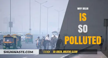 Delhi's Polluted Air: Reasons and Concerns