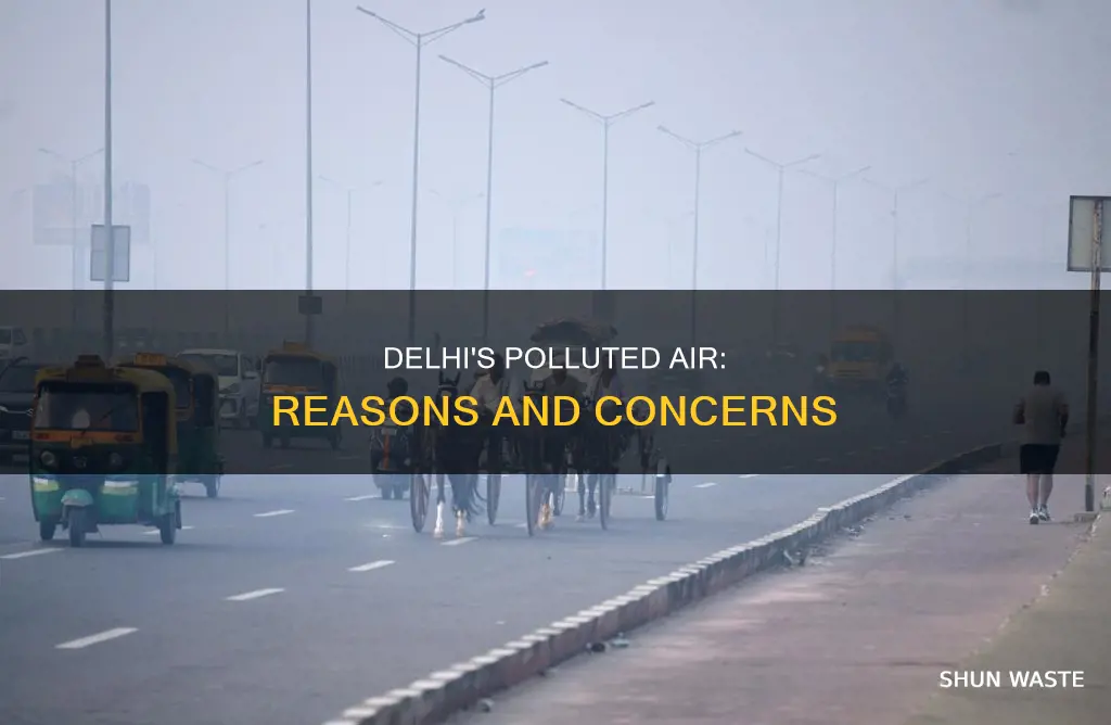 why delhi is so polluted