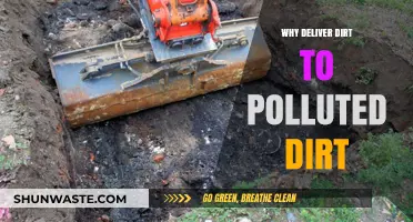Delivering Dirt to Polluted Soil: A Counterintuitive Environmental Strategy?