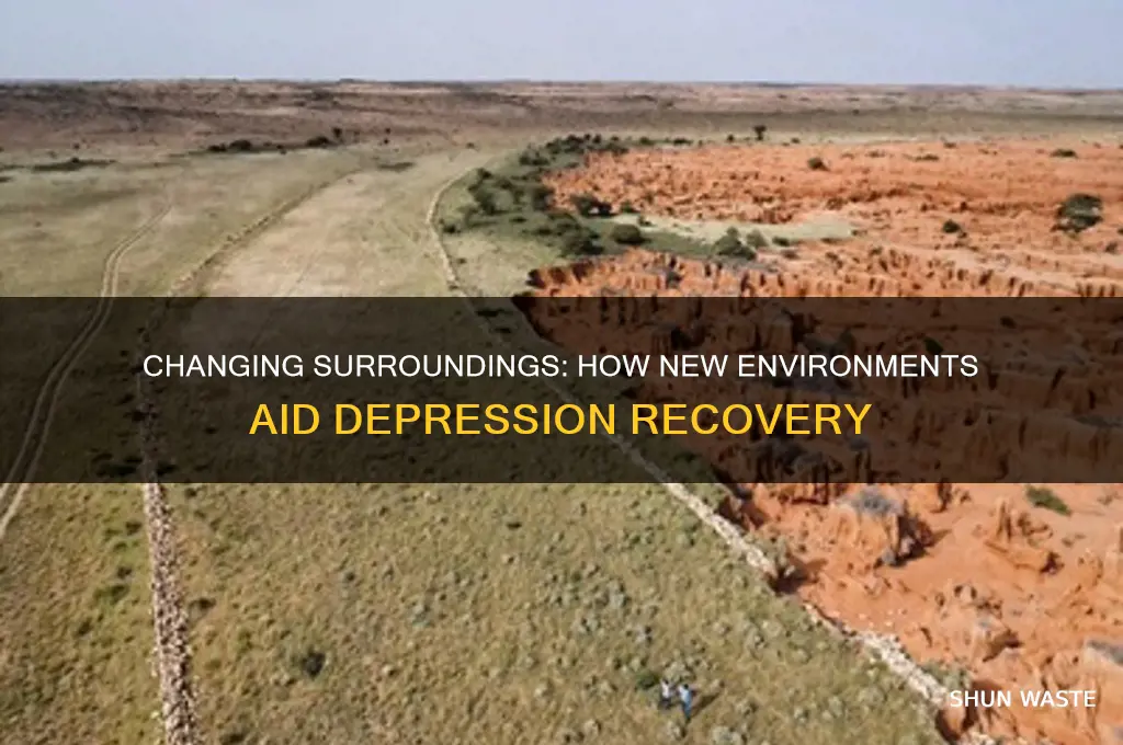 why depressed people need change of environment