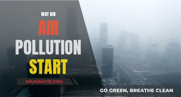 The Industrial Revolution's Dark Legacy: Air Pollution's Start