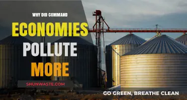 Command Economies and Environmental Degradation: Unraveling the Pollution Paradox