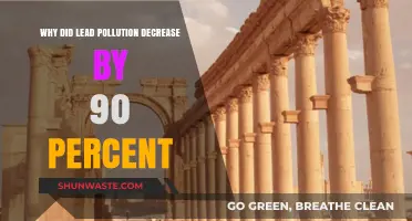 Dramatic Drop: Unraveling the 90% Decline in Lead Pollution