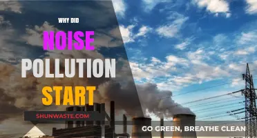 Origins of Noise Pollution: Uncovering the Start of a Modern Menace