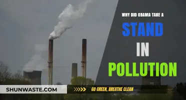 Obama's Bold Stand Against Pollution: Motivations and Impact