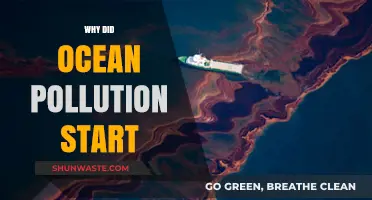 The Origins of Ocean Pollution: A Historical Perspective
