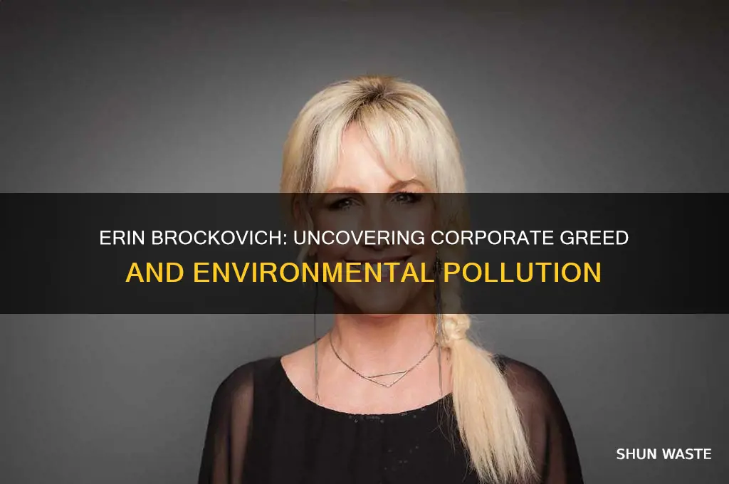 why did the company pollute in the movie erin brokovich