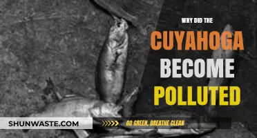 The Cuyahoga's Toxic Legacy: Unraveling the Causes of Its Pollution