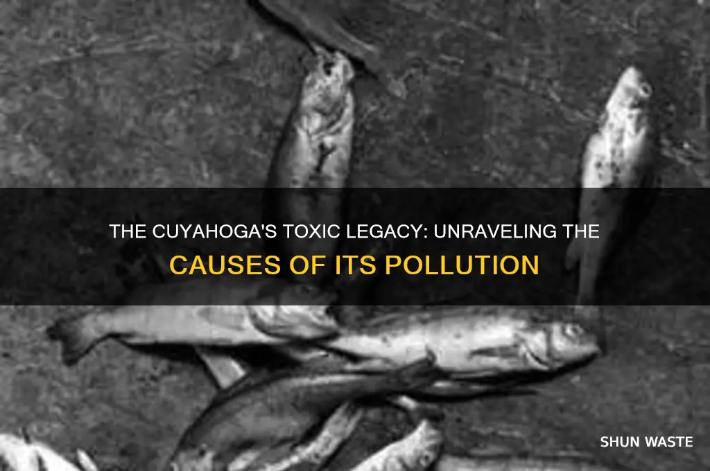 why did the cuyahoga become polluted