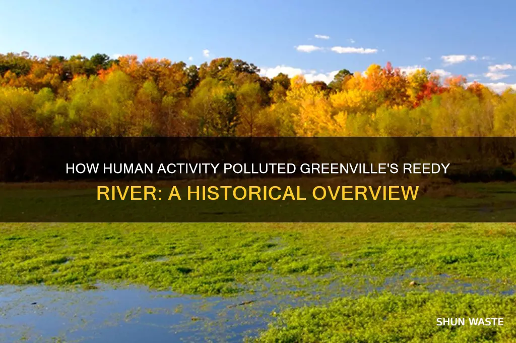 why did the reedy river become polluted