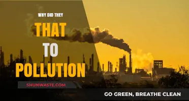Unveiling the Shocking Truth: Why Did They Ignore Pollution's Impact?