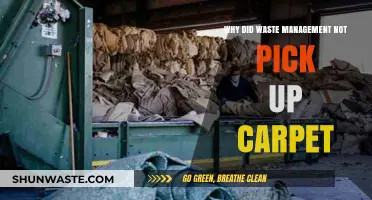 Carpet Collection Crisis: Waste Management's Surprising Oversight