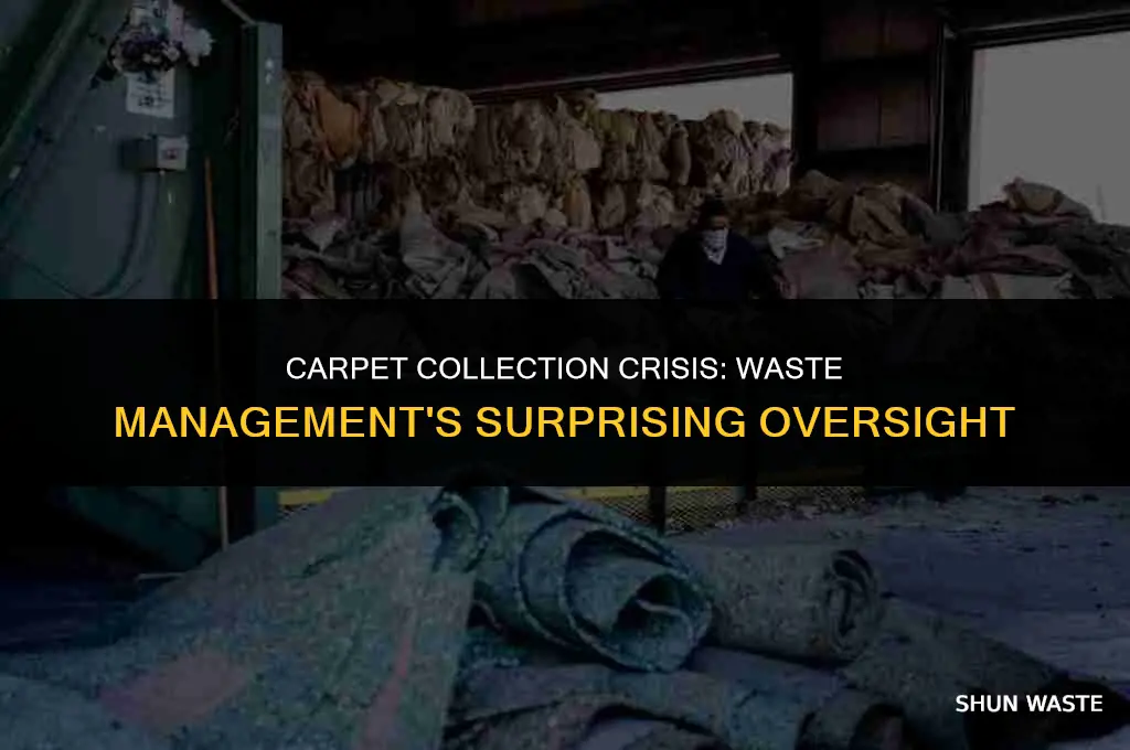 why did waste management not pick up carpet