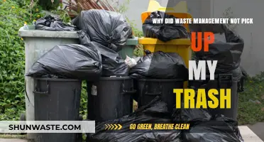 Trash Troubles: Why Waste Management Left Your Bins Full