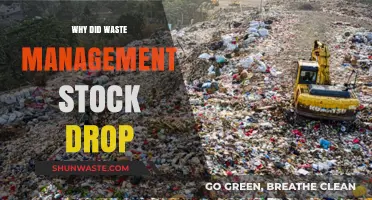 Unraveling the Reasons Behind Waste Management's Stock Tumble