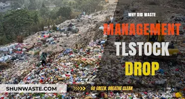 Why Waste Management's Stock Plummeted: A Comprehensive Analysis