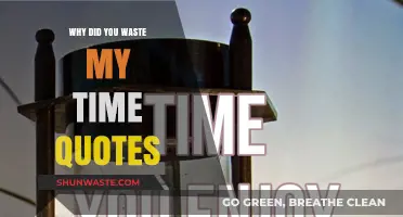 Why Did You Waste My Time?": Reflecting on Misspent Moment