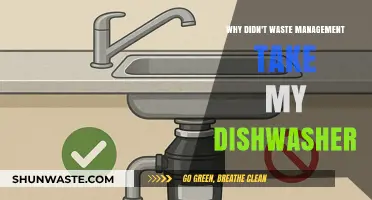Dishwasher Dilemmas: When Waste Management Leaves You Hanging