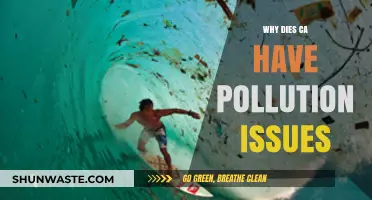 California's Pollution Crisis: Causes, Impacts, and Urgent Solutions Needed