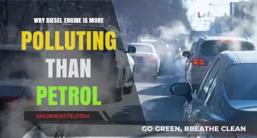 Diesel vs. Petrol: Uncovering the Higher Pollution Impact of Diesel Engines