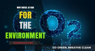 Diesel's Dark Impact: Environmental Harm and Sustainable Alternatives Explored