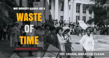 The Futility of Diversity Classes: A Critical Examination
