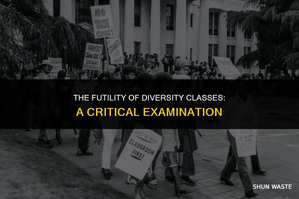 why diversity classes are a waste of time