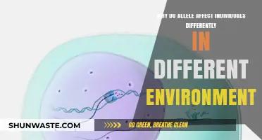 How Alleles Interact with Environments to Shape Individual Differences