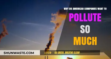 Why Do American Companies Prioritize Profits Over Pollution Reduction?