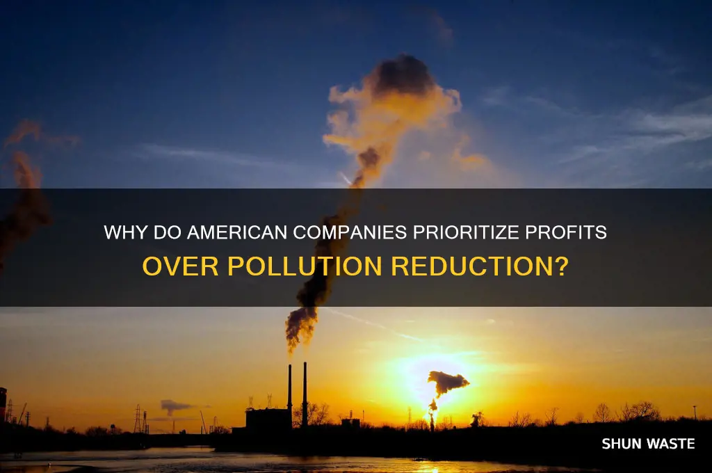 why do american companies want to pollute so much
