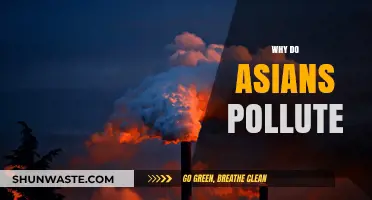 Cultural Practices, Rapid Development, and Pollution in Asian Communities