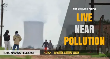 Environmental Injustice: Why Black Communities Often Live Near Pollution