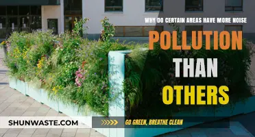 Urban Noise Disparity: Why Some Areas Suffer More Pollution Than Others