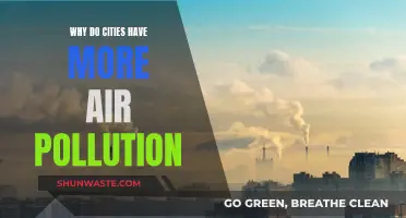 Urban Air: The Pollution Puzzle