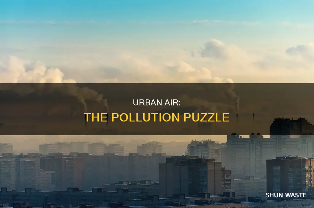 why do cities have more air pollution